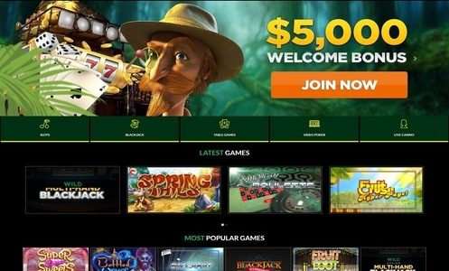 Wild Casino