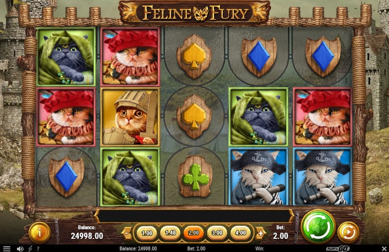 Feline Fury Slot by Play'n GO